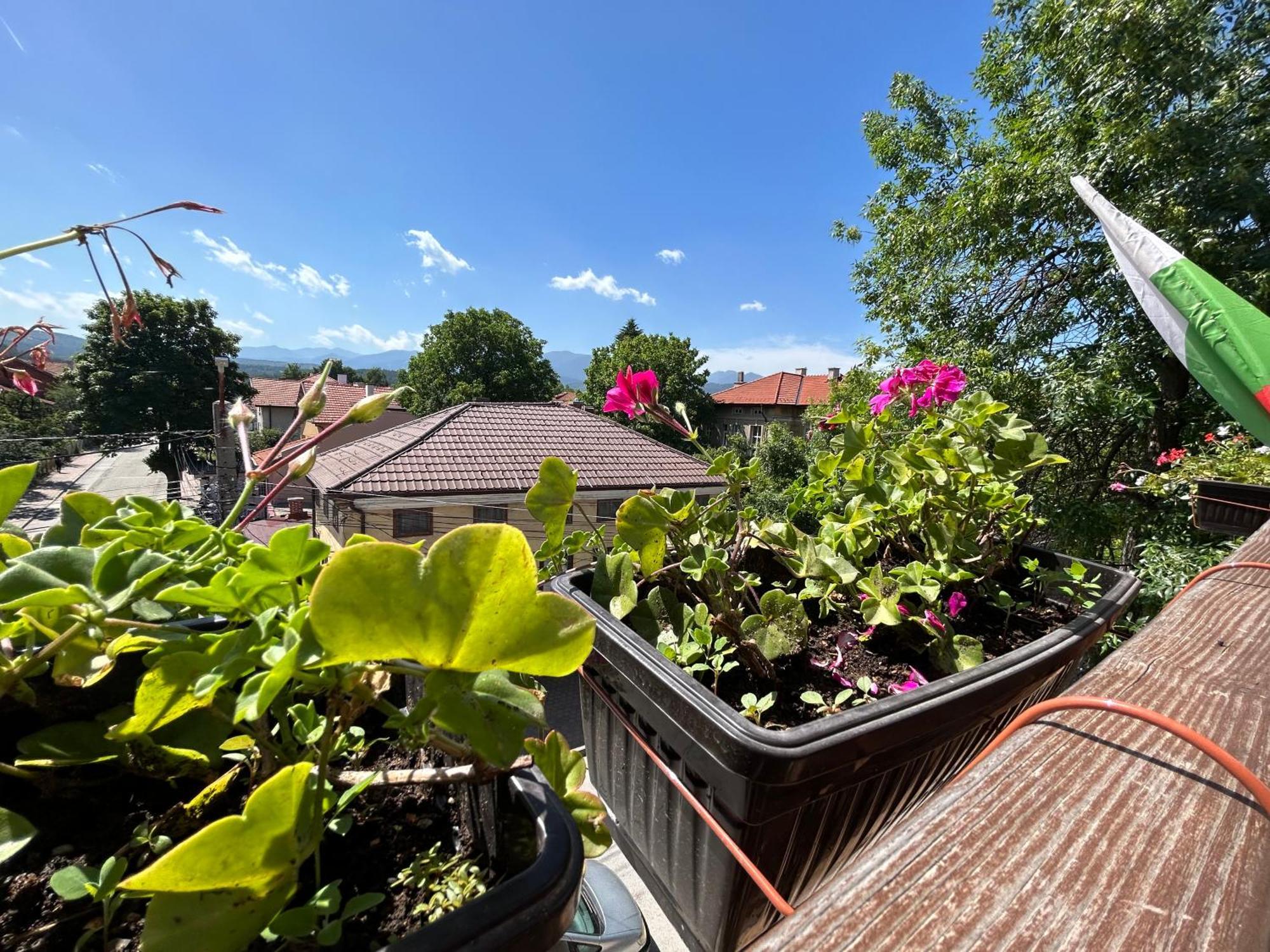 Guest house Legeto Samokov Buitenkant foto